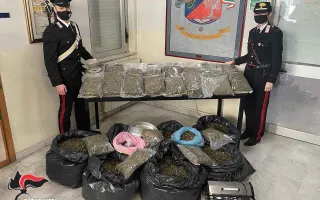 In casa avevano 54 kg di marijuana, marito e moglie arrestati a Sambiase