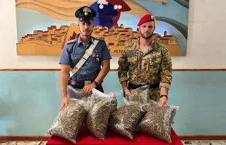 Nove kg marijuana sequestrati a Mesoraca: tra i 3 arrestati c'è un consigliere comunale