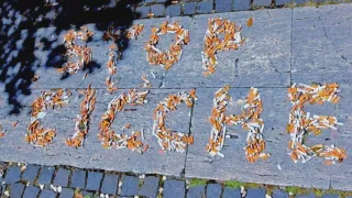 Mozziconi sigaretta, la sfida di Plastic Free: sei tappe in Calabria