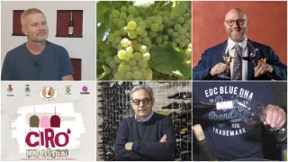 VIDEO | Entra nel vivo il Cirò Wine Festival: la doc più antica di Calabria si racconta attraverso i suoi vini