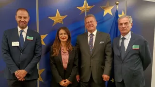 Porto di Gioia Tauro: l'UE a lavoro su misura per tutelare lo scalo da Ets