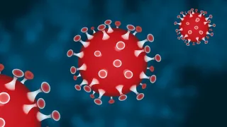 Coronavirus, in Calabria 240 nuovi casi positivi e nessun decesso: il bollettino della Regione del 29 agosto