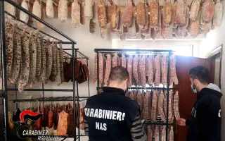 Salumificio abusivo in casa, sequestrati 600 kg di carne priva di tracciamento a Reggio Calabria