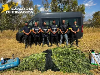 Sequestrata piantagione di marijuana dal valore di 350mila euro