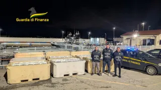 Maxi sequestro di 1500 kg di bianchetto non commestibile