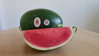 VIDEO | Investire sul territorio: l'azienda agricola Giovanni Turrà lancia “Calabresella”
