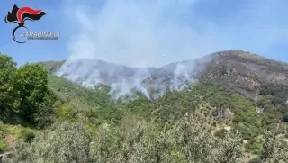 Appiccarono un maxi incendio tra Petronà e Mesoraca: due denunce
