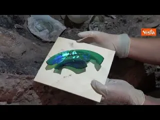 Un baule rimasto chiuso per 2000 anni ritrovato a Pompei, apparteneva al ceto medio. Le immagini