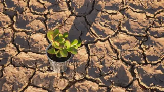 Arpacal: in Calabria autunno 2025 tra i più secchi, piogge in calo del 32%