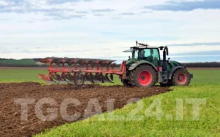 Agricoltura: perso il 30% della produzione di uva e cipolla, la Regione chiede lo stato di calamità