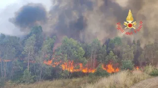 Calabria in fiamme: trentuno gli interventi dei Vigili del Fuoco da questa mattina nelle cinque province (FOTO)