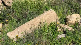 Il sito di epoca greca scoperto a Belvedere Spinello: un luogo da studiare e valorizzare