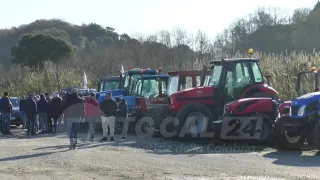 Protestano gli agricoltori di Lamezia: «Popolo in ginocchio»