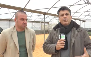 'Nduja d'eccellenza: la filiera corta parte dalla produzione delle materie prime per il cibo dei maiali