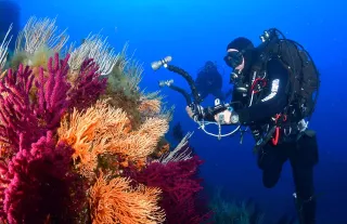 Acque più limpide e un ambiente più pulito: gli effetti del lockdown sul nostro mare (Video)