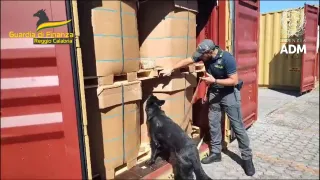 Maxi sequestro di 280 kg di cocaina al porto di Gioia Tauro