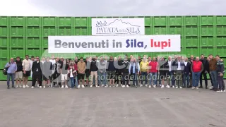 Cosenza Calcio e Patata della Sila festeggiano la salvezza in B