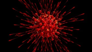 Coronavirus, in Calabria 114 nuovi casi positivi e 2 decessi: il bollettino della Regione