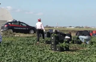 Quindici euro per 12 ore di lavoro nei campi: 15 arresti in una operazione contro il caporalato (Video)