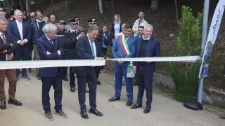 Azienda Calabria Verde e le sfide della forestazione