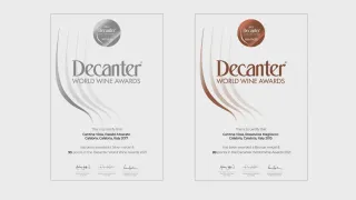 Vini, le cantine Viola sul tetto del mondo: due i premi al Decanter World Wine Awards