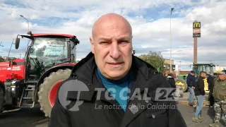Voce alla protesta degli agricoltori: «Necessaria un'azione politica»
