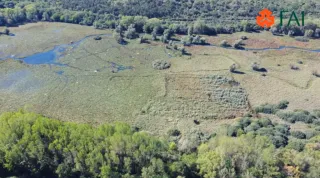 Giornate Fai d'autunno: i 9 siti da visitare in Calabria oggi e domani