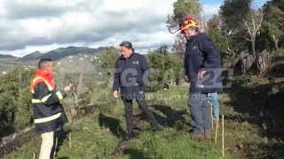 Esperti a confronto sul patrimonio boschivo: in Calabria l'assemblea Anarf