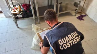 Guardia Costiera, blitz nel weekend: multe a sei ristoranti tra Crotone e Isola