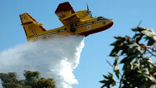 Incendi in Calabria: la Regione ha chiesto l'intervento della Protezione Civile nazionale