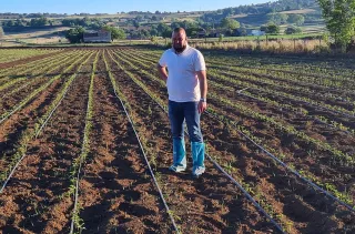 La filiera del Peperoncino Tri Pizzi per una 'Nduja d'eccellenza, autentica, identitaria