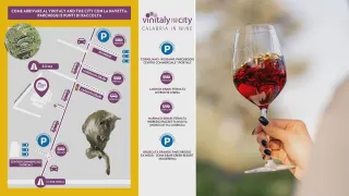 Vinitaly and the City: info utili per raggiungere il Parco Archeologico di Sibari