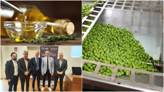 I migliori oli extravergini d'oliva si "sfidano" al premio Verga