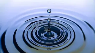 Giornata mondiale dell’acqua, Calabretta (Sorical): «Garantire il servizio alle future generazioni»