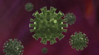 Coronavirus, in Calabria 236 nuovi casi positivi e 3 decessi: il bollettino della Regione del 28 novembre