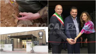 GLI SPECIALI DI VIDEO CALABRIA | La casa del tartufo è a Montegiordano
