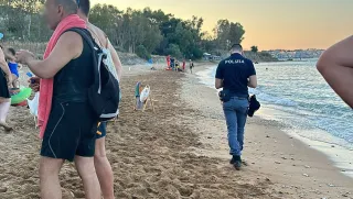 Assalito da uno sciame di vespe, muore in spiaggia a Crotone