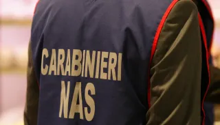 Blatte e scarsa igiene: chiuse due attività a Reggio Calabria