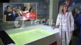 Sanità: all'ospedale di Crotone si potrà partorire in acqua