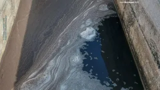 Mare Monstrum 2025, Calabria al quarto posto per reati ambientali
