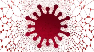 Coronavirus, in Calabria 71 nuovi casi positivi e 4 decessi: il bollettino della Regione
