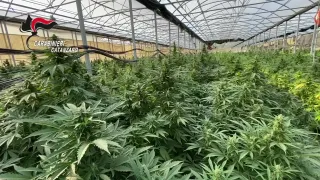 Operazione antidroga nel Catanzarese: 14 gli arresti