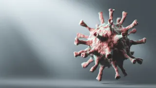Covid, Oms: dopo tre anni cessa lo stato d'emergenza sanitaria internazionale