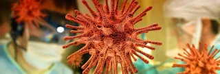 Allarme dal Regno Unito su una nuova forma di Covid: firmata ordinanza da Speranza
