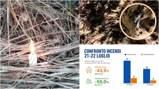 Incendi in calo del 43,9% in Calabria: la svolta nasce dalla vigilanza dei cittadini