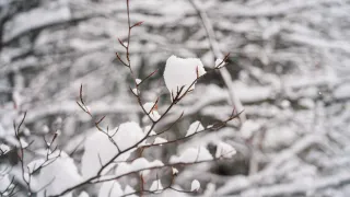 Meteo: torna l'inverno, brusco calo di temperature al Sud da venerdì