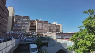 Un bosco nel reparto di Pediatria: a Reggio Calabria l'arte rende l'ospedale più accogliente