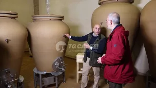 Tenuta Iuzzolini: arriva il nuovo vino d'impronta magno-greca
