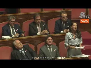 Ronzulli: "Fondamentale la riforma fiscale, anche per combattere l'evasione"