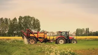 Agricoltura, in Calabria erogati oltre 282 milioni di euro: fondi Pac a sostegno delle imprese